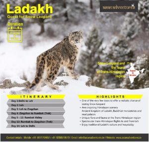 snow_leopard_tour