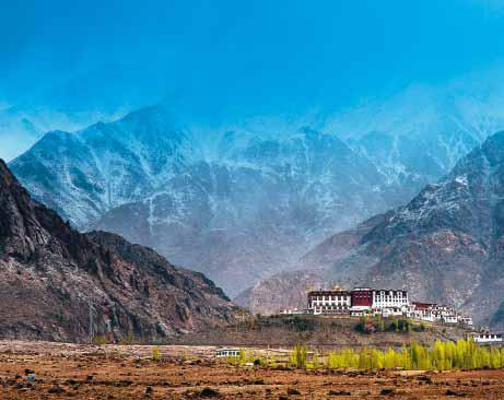 ladakh_snow_leopard_trek